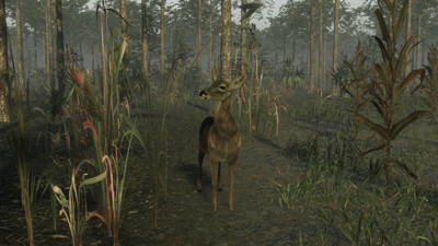 Pro Deer Hunting 2 - Изображение 1
