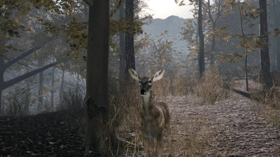 Pro Deer Hunting 2 - Изображение 3