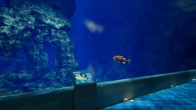 Aquarium at August 32nd - Изображение 4