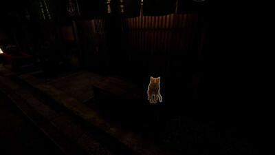 Kyoto Anomaly - Изображение 1