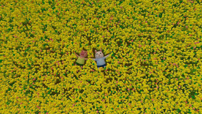 The Adventures of Bunny and Pig - Изображение 1