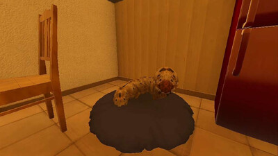 petsitting - Изображение 3