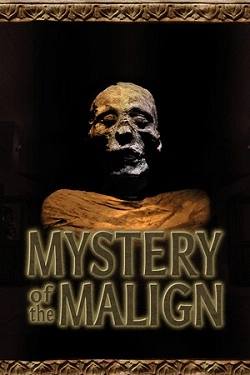 Mystery of the Malign - Обложка