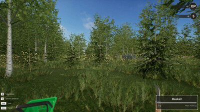 Mushroom Hunter World - Изображение 4