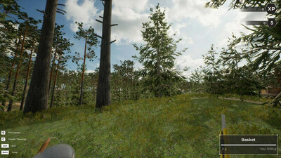 Mushroom Hunter World - Изображение 3