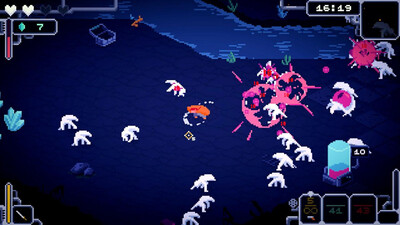 Bermuda Survivor - Изображение 1