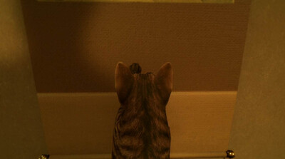 Still It Runs - Изображение 1