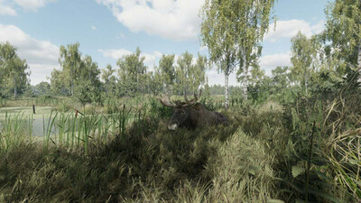 On the Hunt - Изображение 1