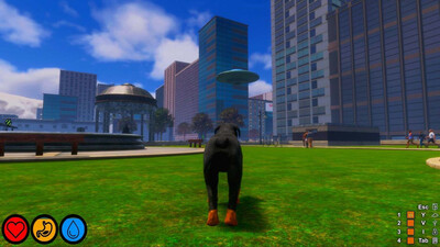 Lost Paws - Изображение 3