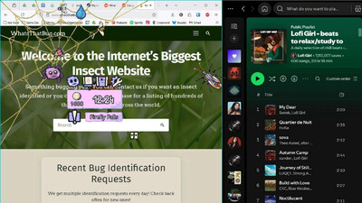 My Little Spider - Изображение 4