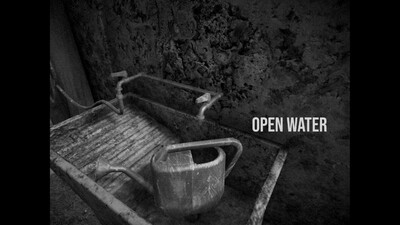 Horses - Изображение 1