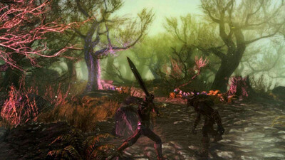 Enderal: The Shards of Order - Изображение 1