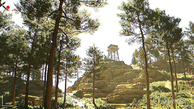 The Tall Man Tapes - Изображение 1