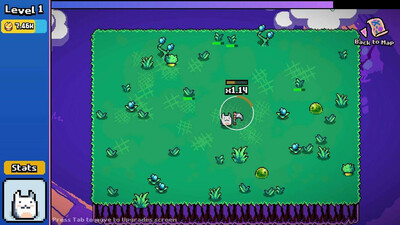 CAT x 11 - Изображение 1