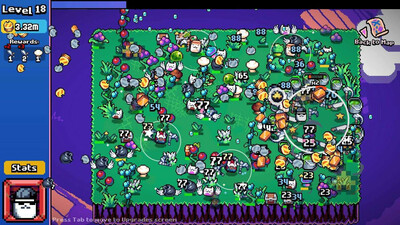 CAT x 11 - Изображение 2