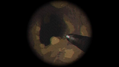 Tiny Chills: Not From Ear BETA - Изображение 2