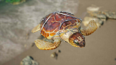 Restore Your Island - Изображение 2