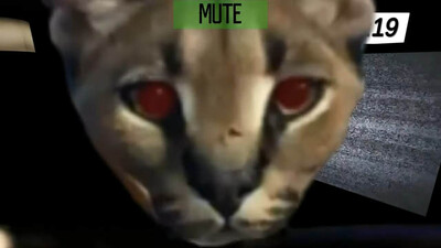 Five Nights At Floppa - Изображение 3