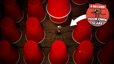 Spider Roulette - Изображение 4