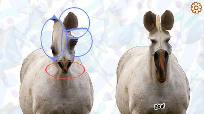 Horse Magnifier: The Full Horse - Изображение 2