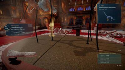 DinoBones: Tidy Up the Museum - Изображение 4