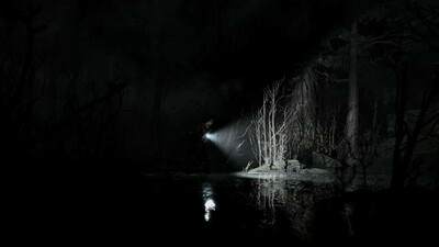Silver Pines - Изображение 2