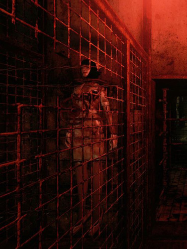 Silent Hill: Alchemilla - Обложка