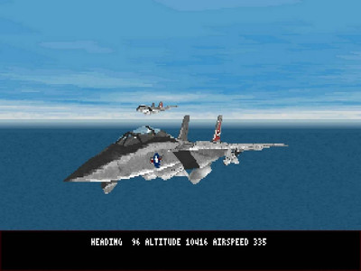 Fleet Defender: The F-14 Tomcat Simulation - Изображение 3