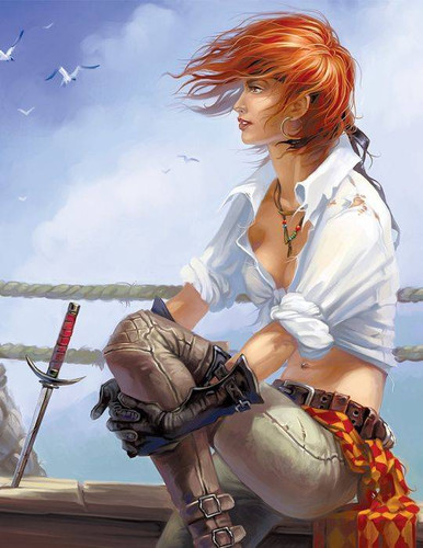 Корсары: История Пирата - Обложка