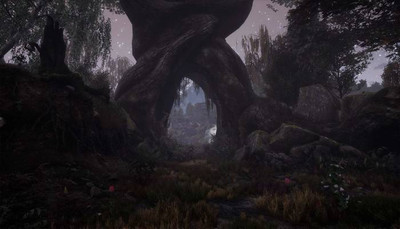 The Dead Tree of Ranchiuna - Изображение 2