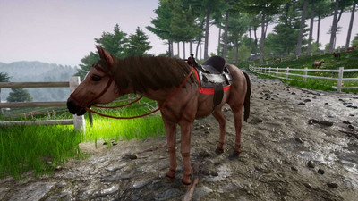 Horse Riding Deluxe 2 - Изображение 4