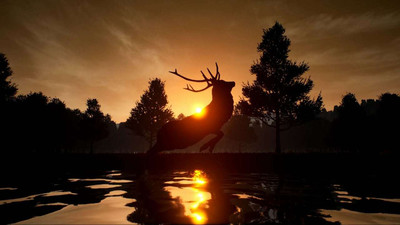 Deer Journey - Изображение 4