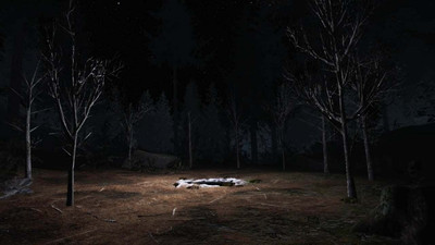 Twin Peaks VR - Изображение 1